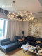Dutch Moooi Heracleum Chandelier Living Room Lamp Dining Room Bedroom Chandelier Designer Firefly Chandelier