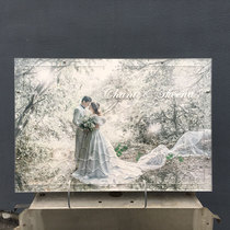 Photo signature board book transparent sign-in Tree Table book wedding ceremony props love wood chip Creative straw rabbit rabbit