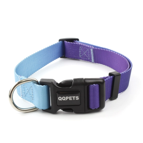 Большие собаки в сотрудничестве с собаками в воротниках собак могут отрегулировать круг шеи из тренировок, чтобы предотвратить поставки домашних животных