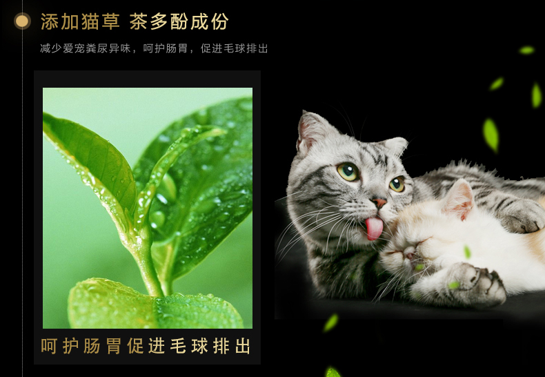 Paddytime hầu hết thú cưng mèo mèo ăn nhẹ chất lỏng mèo vỗ béo kẹp tóc vào thức ăn ướt cho mèo 10g16 - Đồ ăn nhẹ cho mèo thịt hộp spam