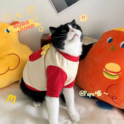 Домашние животные осенью и зимним толстым хлопчатобумажным карманом.