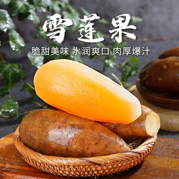 Yunnan yacon 5jin jin is equal to 0.5kg. the fresh fruit is sweet, crisp and juicy. the more you put it, the sweeter it becomes.