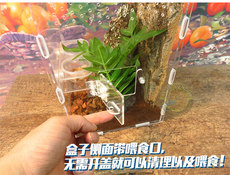 Аксессуары для рептилии 亚克力爬虫饲养盒高盒蓝宝石华丽雨林蜘蛛睫角守宫老爷树蛙喂食口
