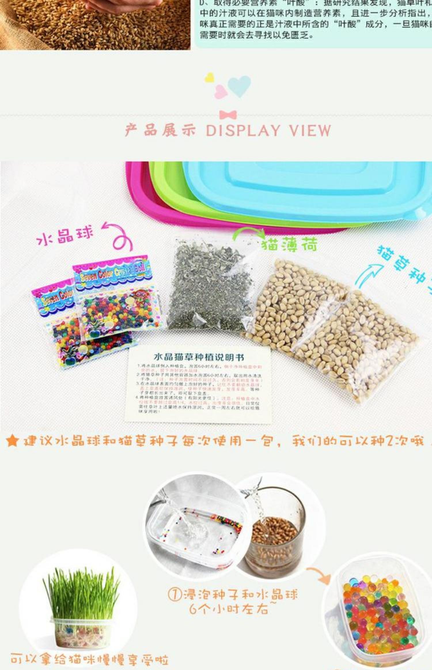 Lúa mì hạt giống cỏ mèo đặt thủy canh đất trồng cây trong chậu chậu cỏ mèo mèo xong mèo ăn nhẹ - Đồ ăn nhẹ cho mèo đồ ăn cho mèo