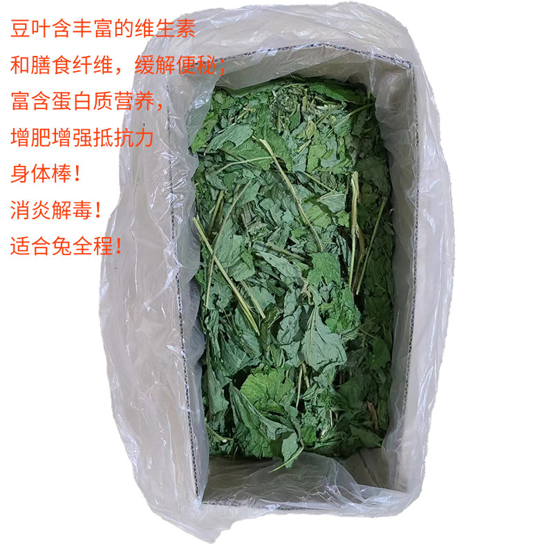 Drying Big Folia Dry Dragon Dragon Cat Dragon Cat Dry Dutch Pig Hay Food High Protein Nutritional Husbandry Anti-inflammation Detoxification for one pound