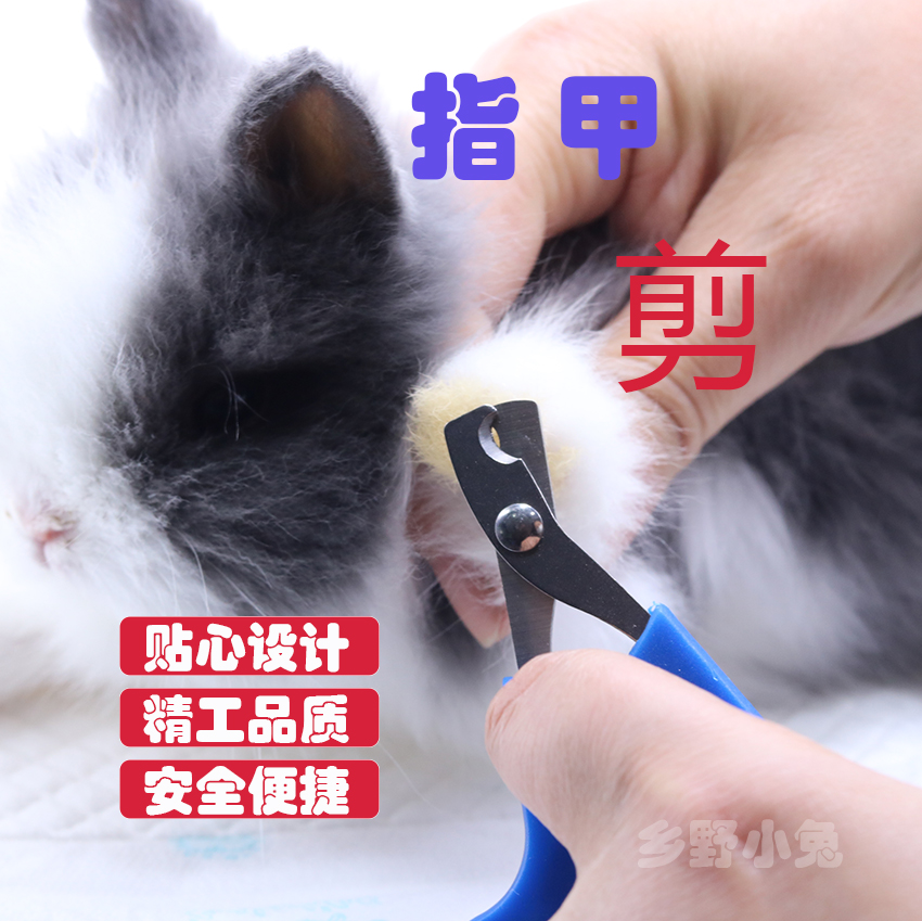 Nail Clippers Rabbit Dutch pig kitty Mince Nail Clippers Nail Clippers Beauty Cleaning Supplies Small Pets special