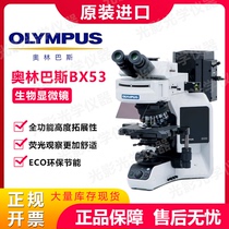 Olympus BX53 BX43 CX43 CX33 CKX53 biological microscope original imported instrument