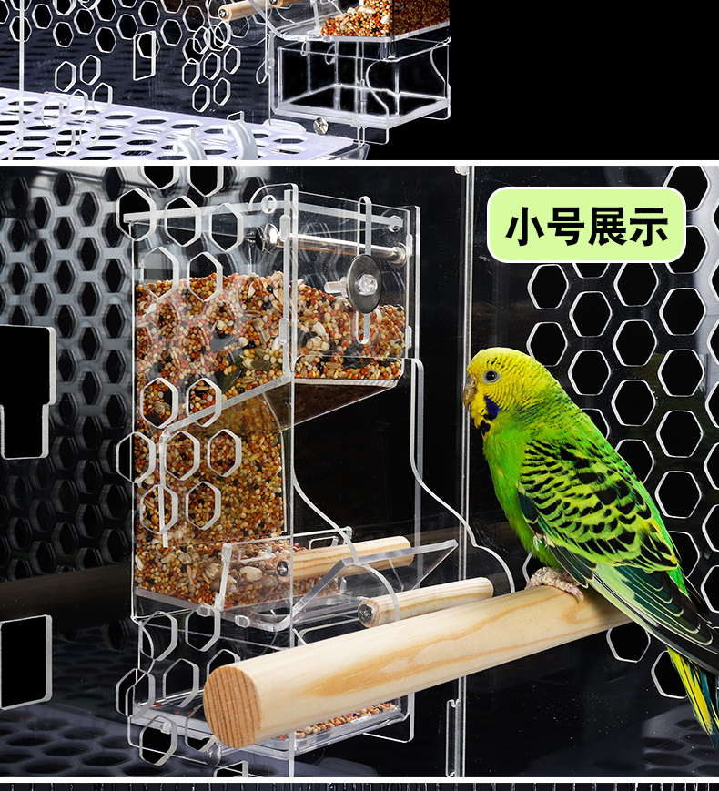 Parrot tự động trung chuyển trung chuyển Chuanfeng hổ da peony chim máng vẹt cung cấp chống giật hộp thức ăn chim - Chim & Chăm sóc chim Supplies lồng bẫy chim