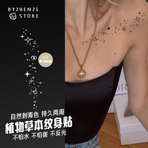 BYZHENZI Hazelnut This Shop Stars Clavicle Sexy Moon ins Herbs Semi-Permanent Juice Tattoo