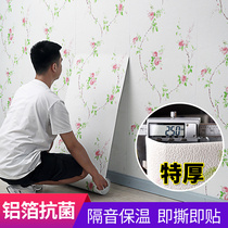 Wallpaper self-adhesive waterproof moisture-proof scrub warm bedroom room living room background wall wallpaper home self-sticking pastoral