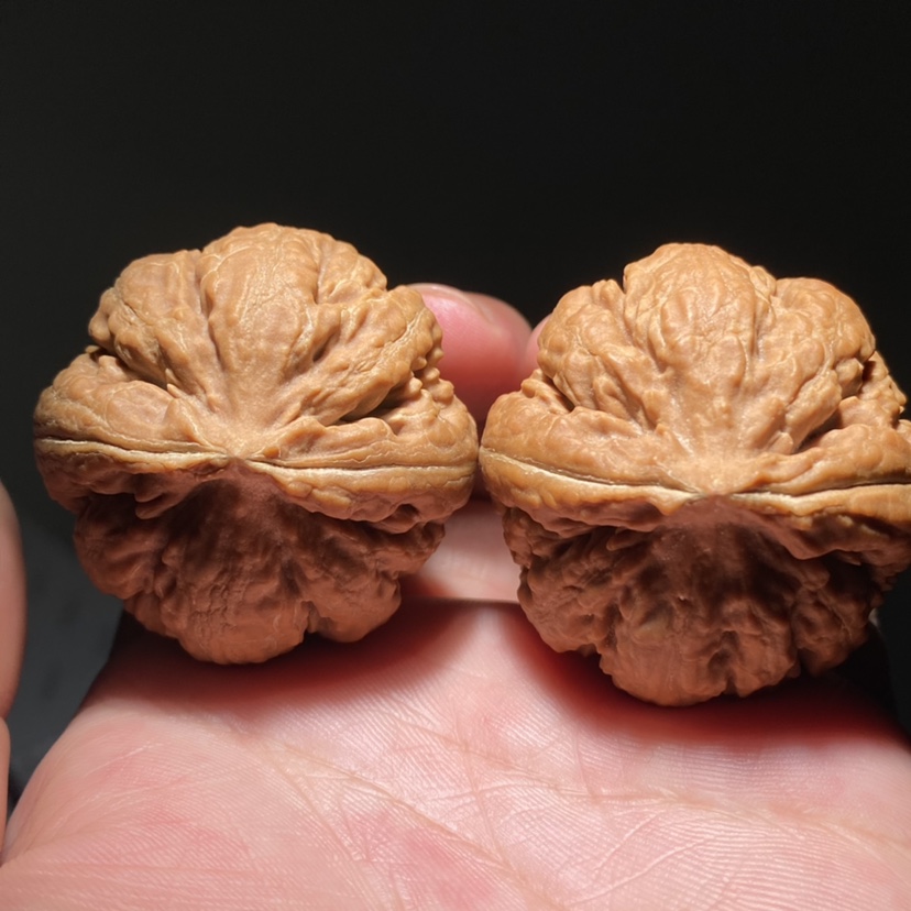 高端老树文玩核桃大粗筋霸王龙狮子头43尺寸精卡精配头货硬货