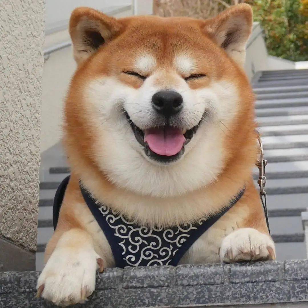 我很开心杂货铺