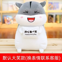 (Каждый день) Держите квадратную подушку (смеющийся хомяк)