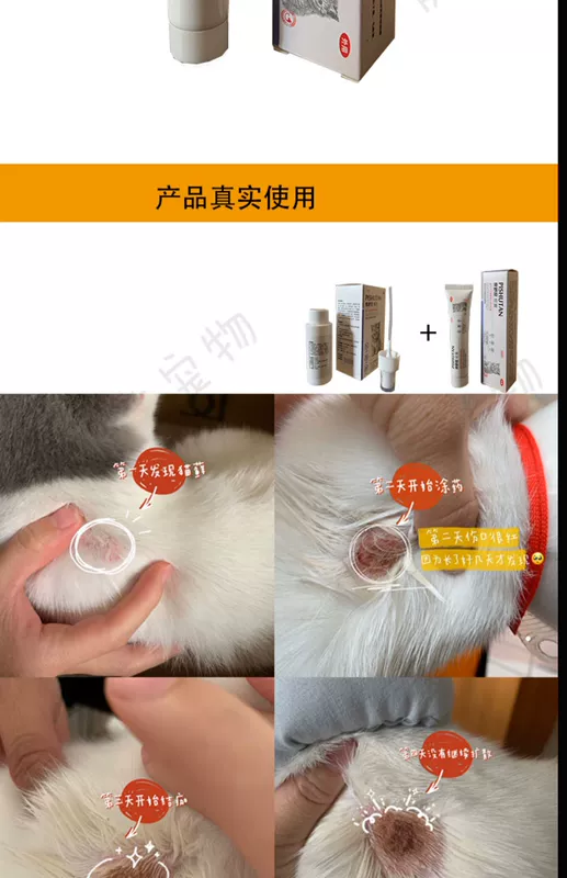 Pishutan Spray Pishutan Ointment Cat Moss Dog Moss Oval Hair Removal Scaly Scab Fungus Bacterial Mites - Cat / Dog Medical Supplies