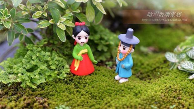 DIY vi cảnh mọng nước trồng hôn nhân vợ chồng búp bê nhỏ dễ thương đầy sao đại dương chai trang trí vật liệu trang trí dcor shop phụ kiện trang trí nhà đẹp