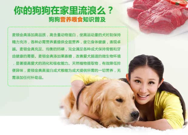 Thức ăn cho chó Maiton Hương sữa Jindian phổ biến chó con nhập khẩu nguyên liệu tự nhiên hạt vừa và lớn thức ăn đặc biệt 500g - Gói Singular royal canin kitten