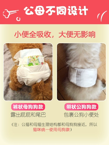 Домашние тетушки для мальчика для мальчика собака физиологические штаны женская моча брюки мужчина собака менструальные штаны