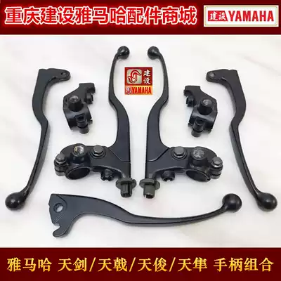 Mountain Leaf Tianjian YBR125 Tianjian k Tianyi k Tianyi Clutch Handle Handle Mirror Seat Clutch Seat Brake Handle