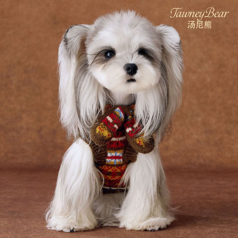Autumn and Winter Dog Clothes, Sweaters, Vests for Pets Like Schnauzer, Yorkshire Terrier, Teddy, Bichon, Maltese, Dachshund, Shih Tzu Autumn and Winter Dog Clothes, Sweaters, Vests for Pets Like Schnauzer, Yorkshire Terrier, Teddy, Bichon, Maltese, Dachshund, Shih Tzu