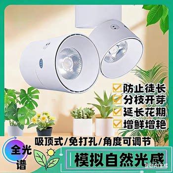 Plant fill light, punch-free growth spotlight, household indoor photosynthesis full spectrum led downlight imitating the sun