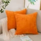 Gối gối màu rắn sofa đệm văn phòng thắt lưng gối ngủ gối sọc nhung gối không có lõi Bộ chăn gối văn phòng hình thú