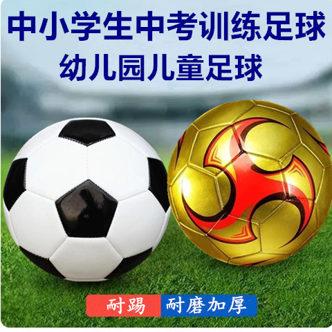 2022 New football 4 Number of primary school children Football 5 Adult Competition Training Football for Test Football-Taobao