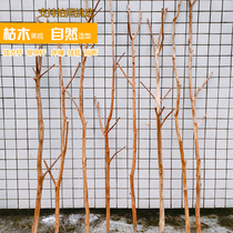 Natural solid wood dead wood color dry branches decorative flower arrangement decoration dead branches and trunks partition homestay forest department window landscaping