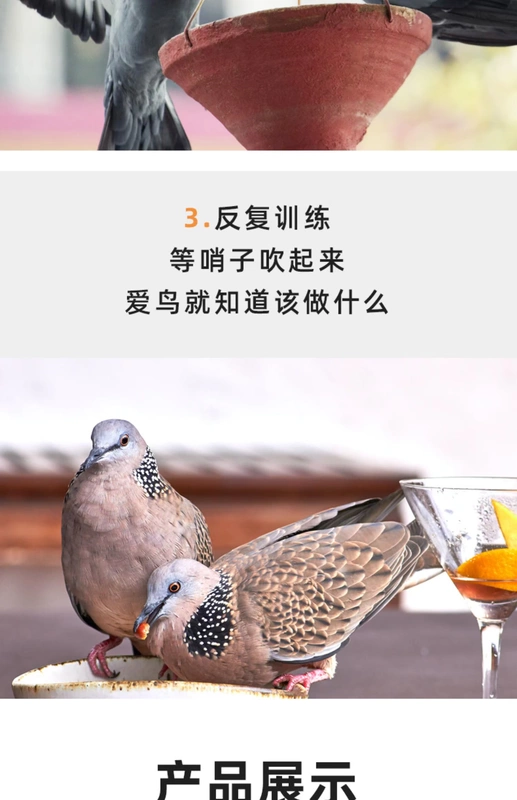 Pigeon Còi Còi Pigeon Huấn luyện Còi siêu âm - Chim & Chăm sóc chim Supplies