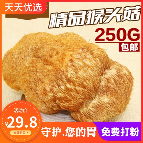 Ji Baiyuan New Products Great Northeast Wild Monkey Head Mushrooms Biscuit Raw Mushroom Long White Mountain Special Produce Dry Goods 250g