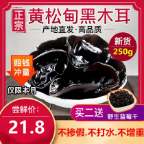 Northeast specialty Huangsongdian black fungus Changbai Mountain autumn fungus 250g thick meat without root cloud wild small bowl ear dry goods