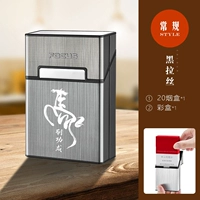 Черная лошадь в Гонгченг