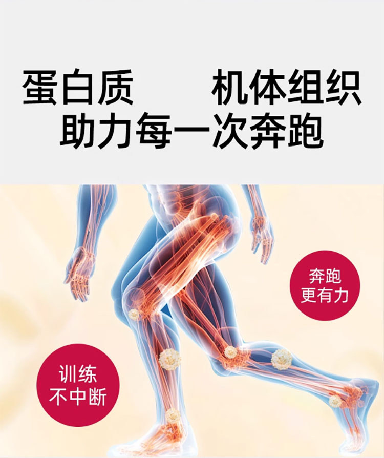 安享好物 安享C级功能饮料-蒙牛迈胜液体蛋白 国标 