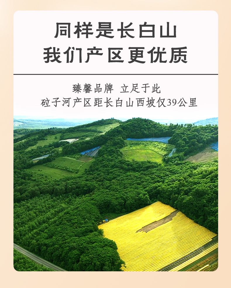 臻馨 吉林长白山 西洋参切片 20g 图4