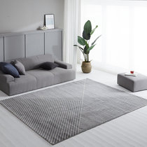Diley Beauty Book Room Carpet Living Room Light Extravaganza Superior Sofa Tea Table Blanket Brief Modern Grey Bedroom Floor Mat Home