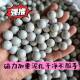 Slingshot Clay Pellets Weighted Magnetic Colorful 9mm 10mm 11mm Safe Practice White Clay Pellets Clean and Do Not Dirty Hands