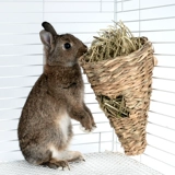 Niteangel Aitecuscurry rabbit grassstrokes