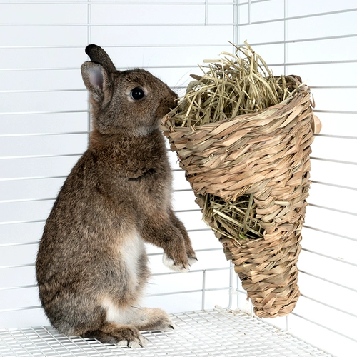 Niteangel Aitecuscurry rabbit grassstrokes