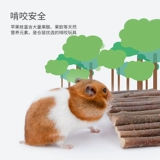 Niteangel Aite Hamster Natural Chasrs, чтобы избежать канала Arch Arck Bridge Tracking Ladder Scleding Toys Landscaping продукты зима