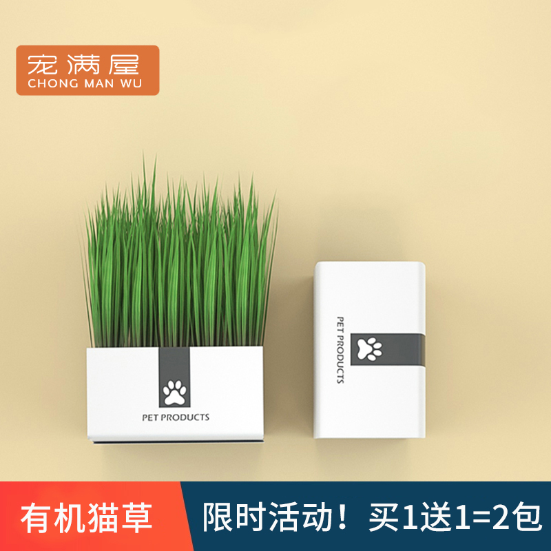 Flattering House Sloth Cat Grass Middle Seed Potted Cat Mint Cat Snacking Hair Polo Water Bacon to grow kittens