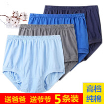 Middle aged underwear mens pure cotton dads knickers high waist big code triangular shorts men loose pants head full cotton
