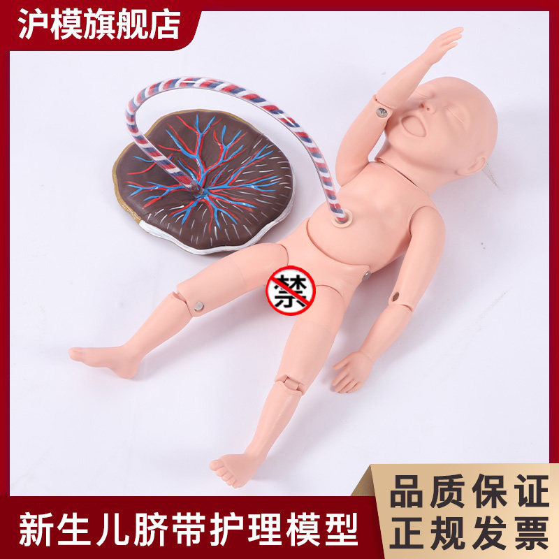 沪模 HM/F132Z高级新生儿脐带胎盘护理模型婴儿脐带结扎及护理教学练习脐静脉脐动脉训练模拟人