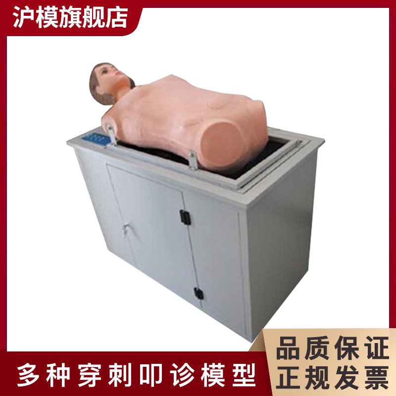沪模HM/C-II 胸腹腔腰椎心包骨髓穿刺术胸腹部叩诊模拟人 教学全自动多种穿刺叩诊电脑训练模型