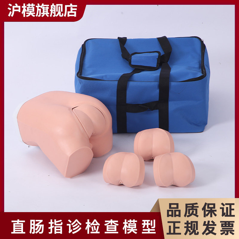 沪模HM/LV39Z 直肠指诊检查模型 前列腺触诊模型临床综合技能训练