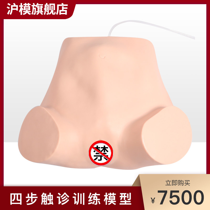 沪模 HM/W-2 四步触诊操作培训模具肛查阴道检查训练模型 妇产科示教模型