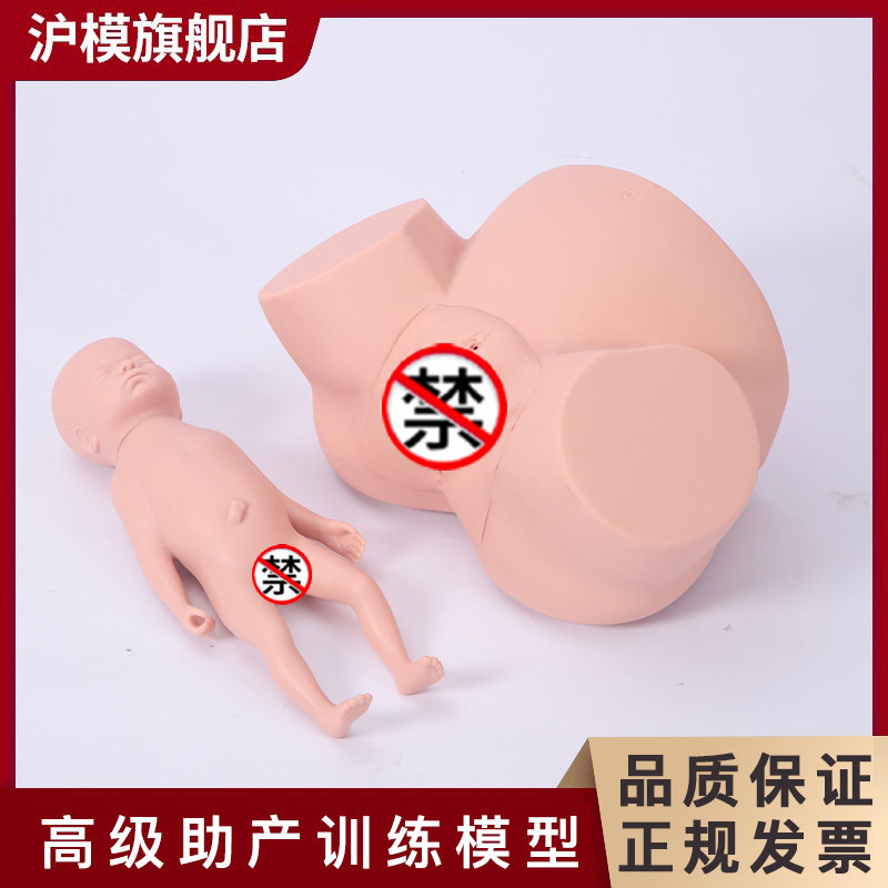 沪模 助产训练模型 孕妇难产示教模型 分娩教学模具 医学妇产科助产培训模型 F4难产示教训练HM/F8Z助产训练