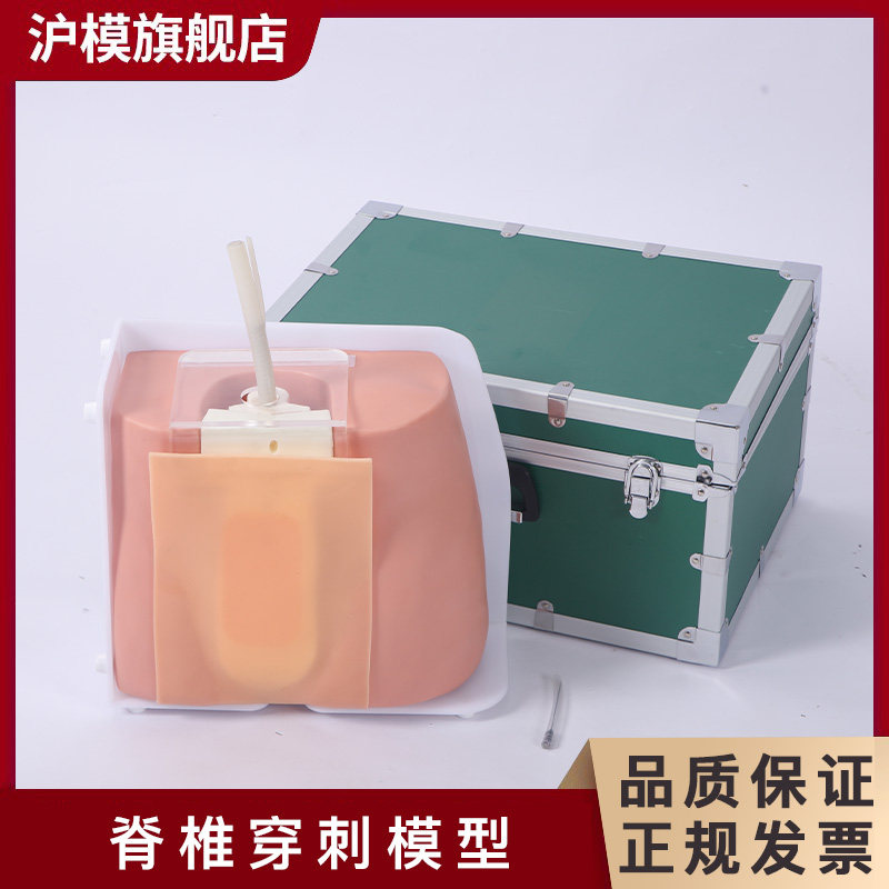 沪模 HM/L60Z脊柱穿刺模型全麻模拟腰麻训练硬膜外麻醉练习骶尾麻醉教学卫勤战救模拟