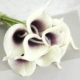 Nhà sản xuất mini calla lily ebay ngoại thương mô phỏng hoa mô phỏng nhà máy trang trí nhà hoa giả - Hoa nhân tạo / Cây / Trái cây