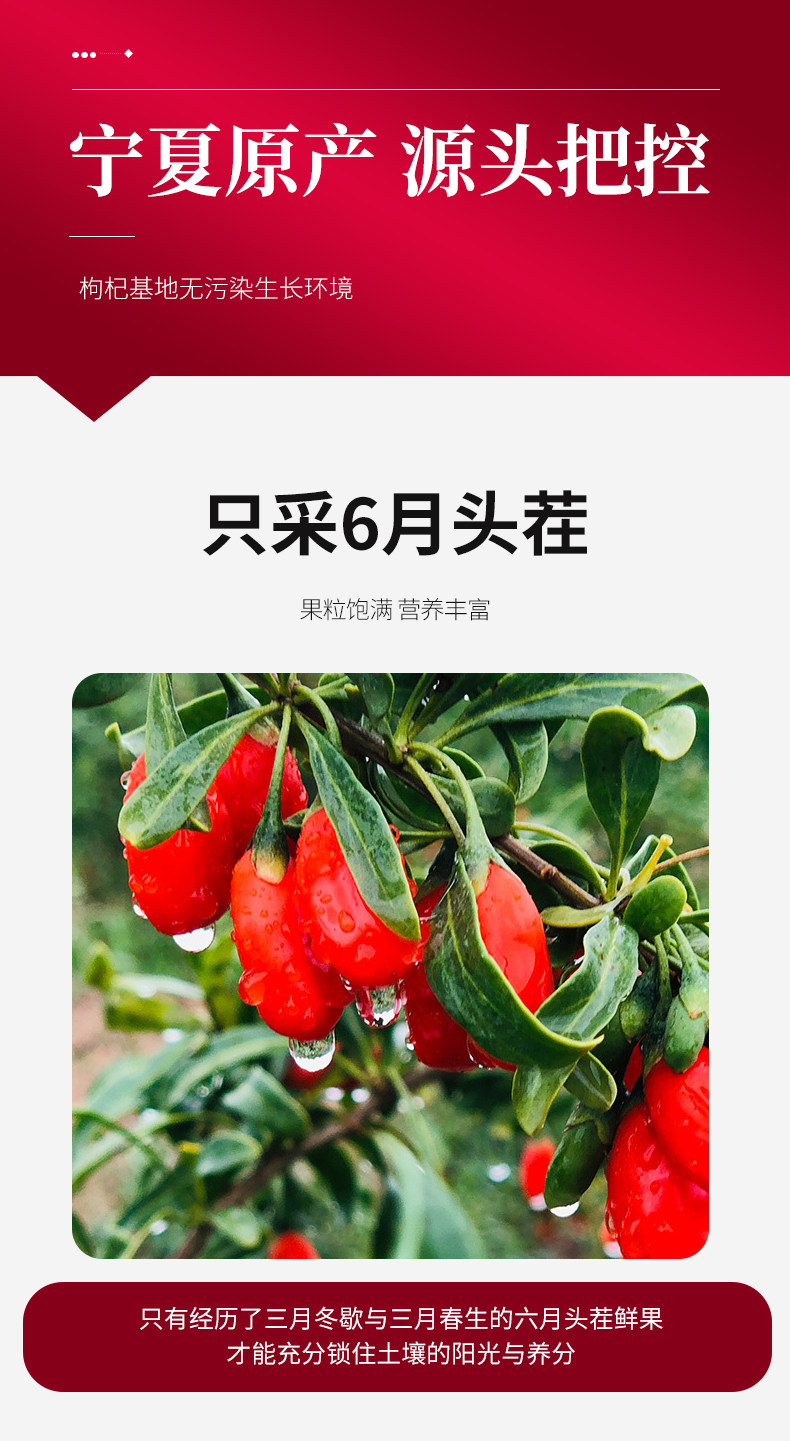 鲜员外  宁夏大粒红枸杞 200g 图4