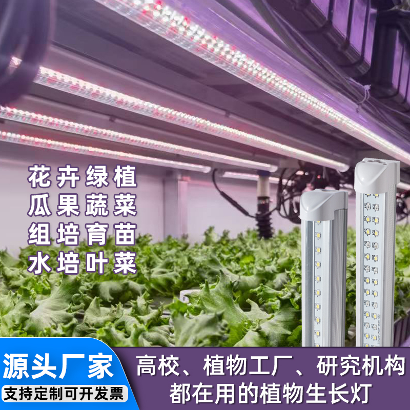 Huinong Plant Growth Supplementary Lighting Indoor Flower and Green Plant Seedling Culture Dendrobium Officinale and Rhodiola Rosea Tissue Culture Lamp Supplementary Lighting