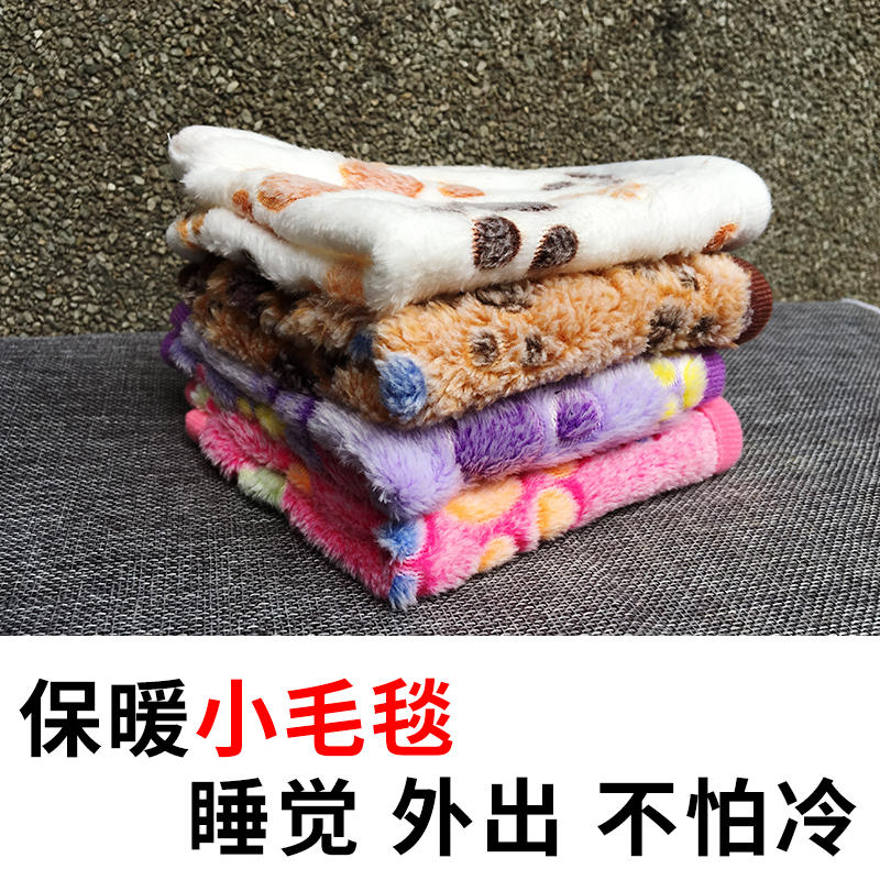 Squirrel Hardware Honey Bag Dutch Pig Golden Bear Hedgehog Queen Blanket Blanket Mat Warm in Winter